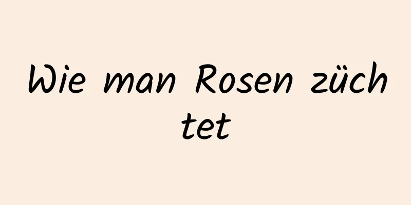 Wie man Rosen züchtet