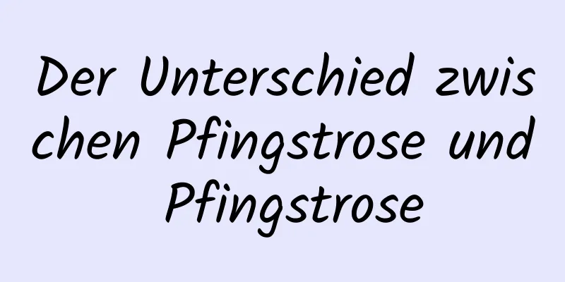 Der Unterschied zwischen Pfingstrose und Pfingstrose