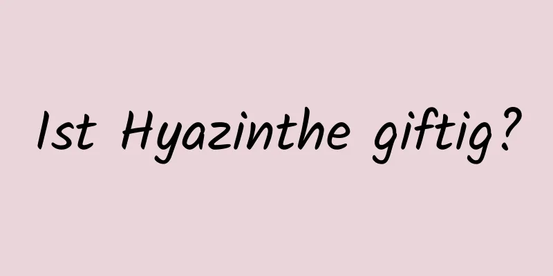 Ist Hyazinthe giftig?