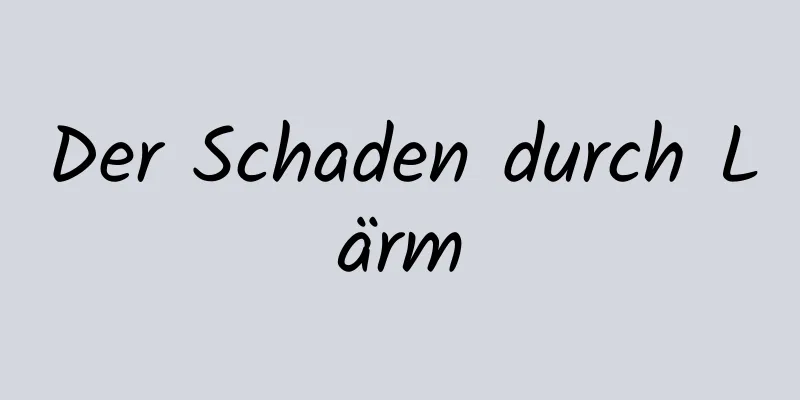 Der Schaden durch Lärm