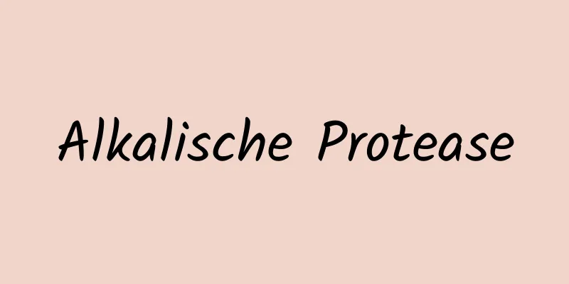 Alkalische Protease
