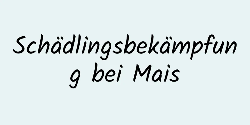 Schädlingsbekämpfung bei Mais