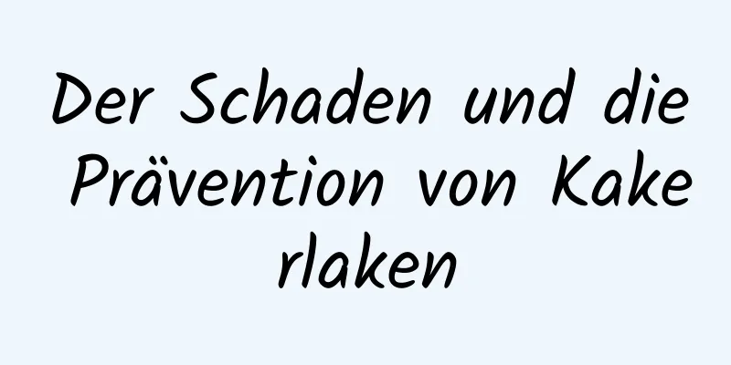 Der Schaden und die Prävention von Kakerlaken