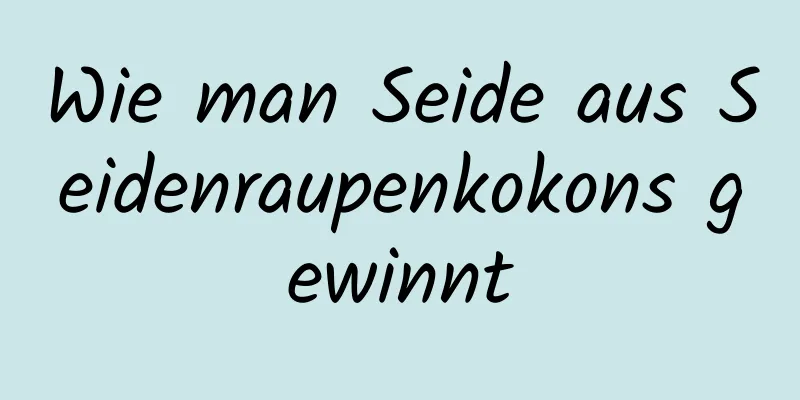 Wie man Seide aus Seidenraupenkokons gewinnt