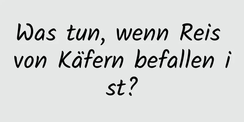 Was tun, wenn Reis von Käfern befallen ist?