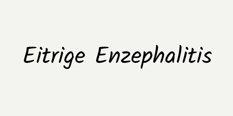Eitrige Enzephalitis