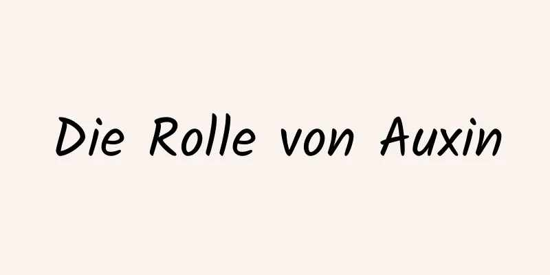Die Rolle von Auxin