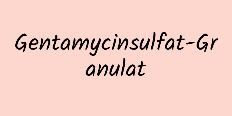 Gentamycinsulfat-Granulat