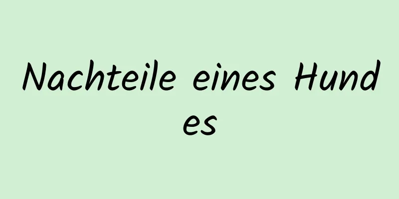 Nachteile eines Hundes