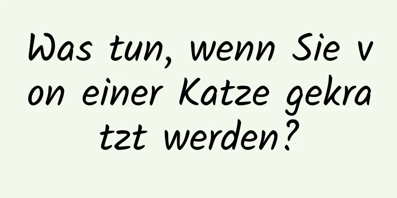 Was tun, wenn Sie von einer Katze gekratzt werden?