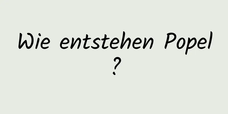 Wie entstehen Popel?