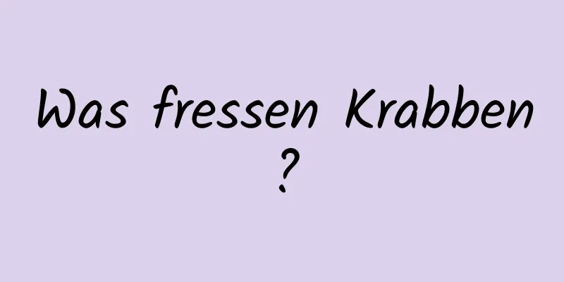 Was fressen Krabben?