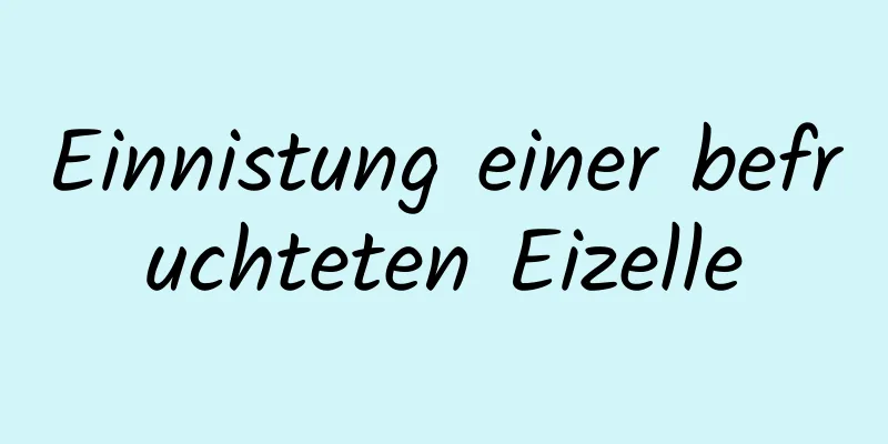 Einnistung einer befruchteten Eizelle