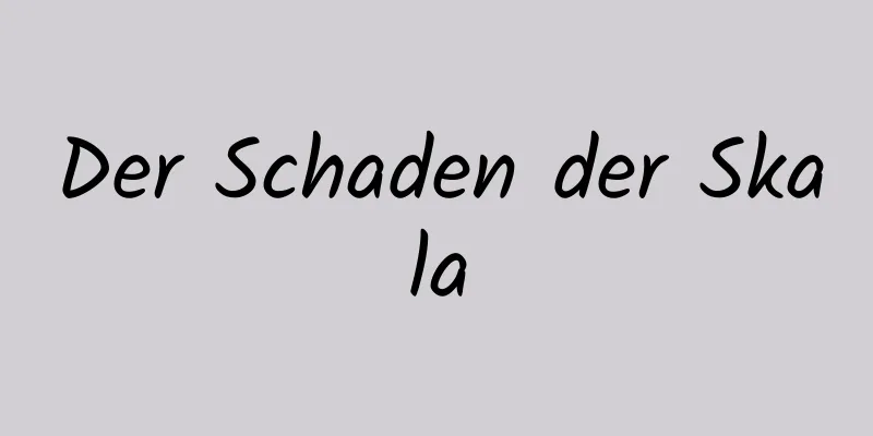 Der Schaden der Skala