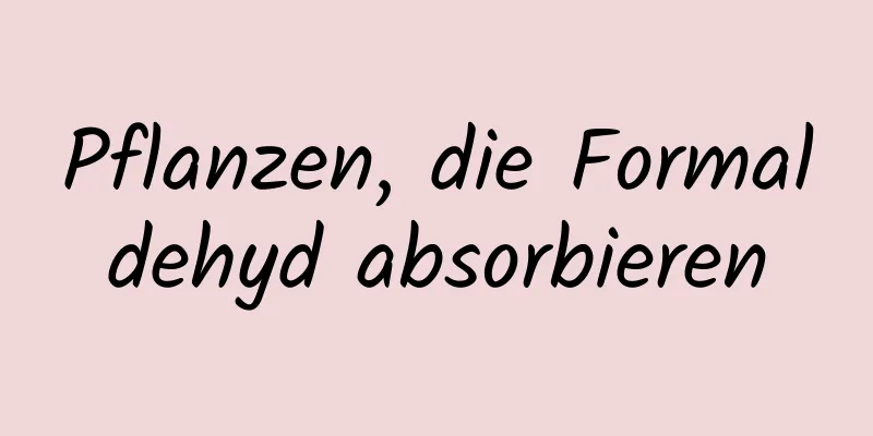 Pflanzen, die Formaldehyd absorbieren