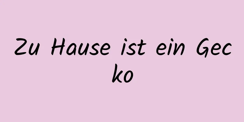 Zu Hause ist ein Gecko