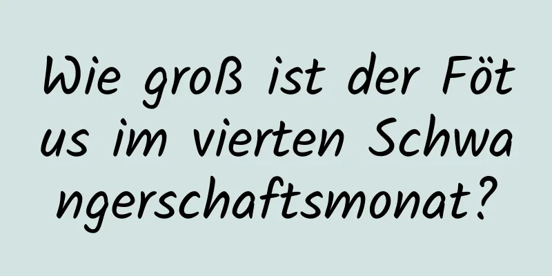 Wie groß ist der Fötus im vierten Schwangerschaftsmonat?