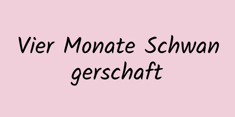Vier Monate Schwangerschaft