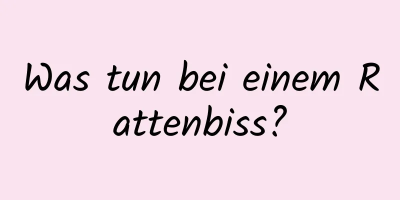 Was tun bei einem Rattenbiss?