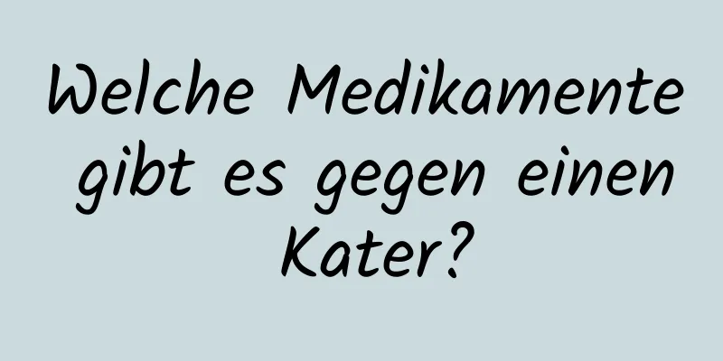 Welche Medikamente gibt es gegen einen Kater?