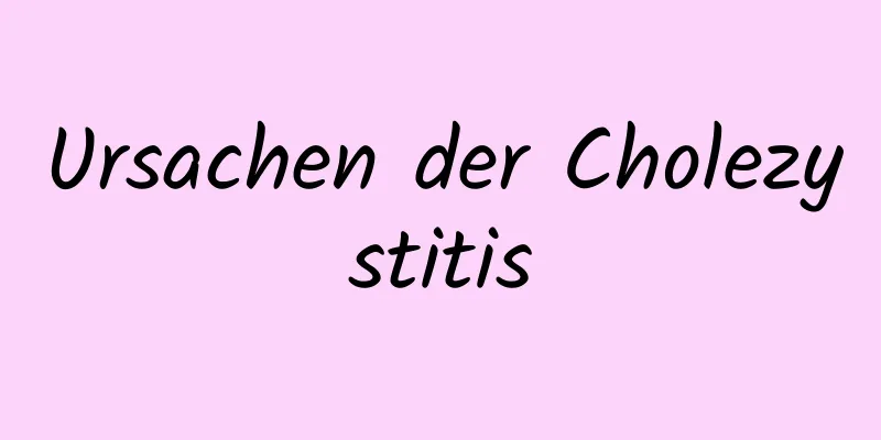 Ursachen der Cholezystitis