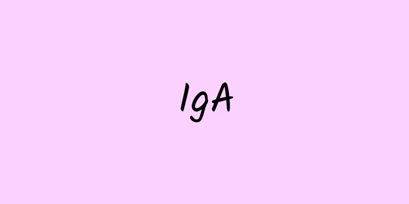 IgA