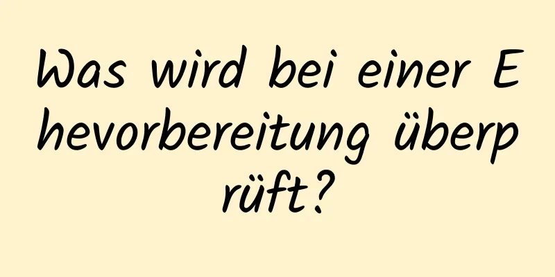 Was wird bei einer Ehevorbereitung überprüft?