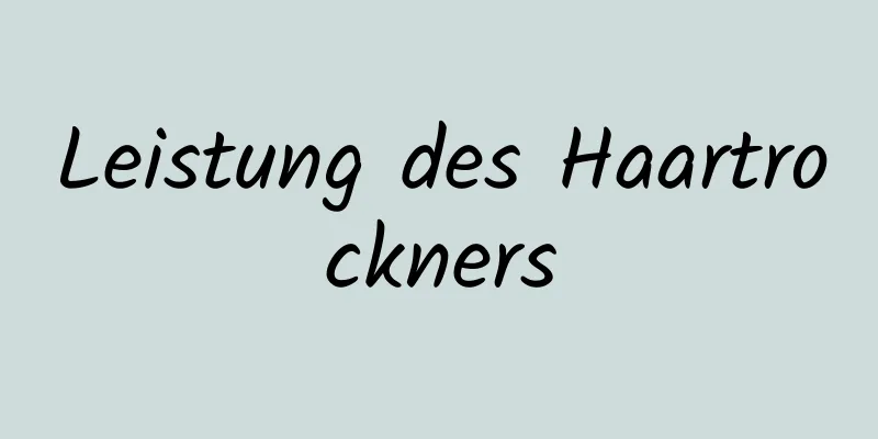 Leistung des Haartrockners