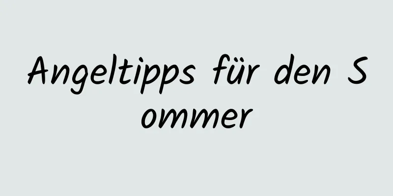 Angeltipps für den Sommer