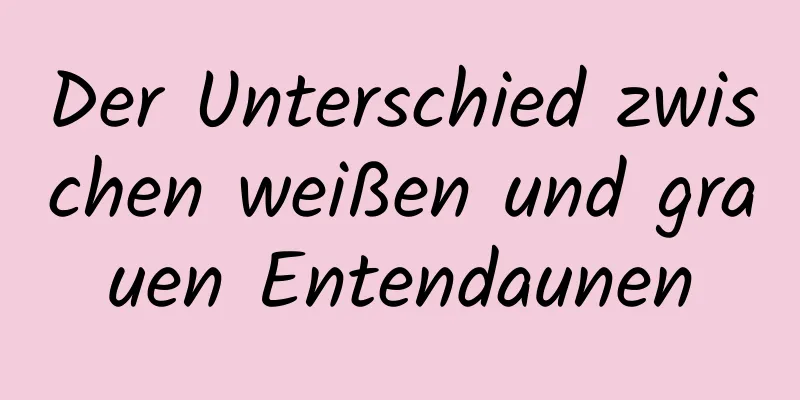 Der Unterschied zwischen weißen und grauen Entendaunen