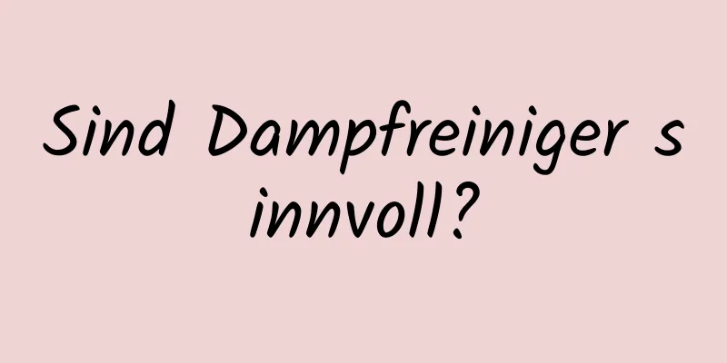 Sind Dampfreiniger sinnvoll?