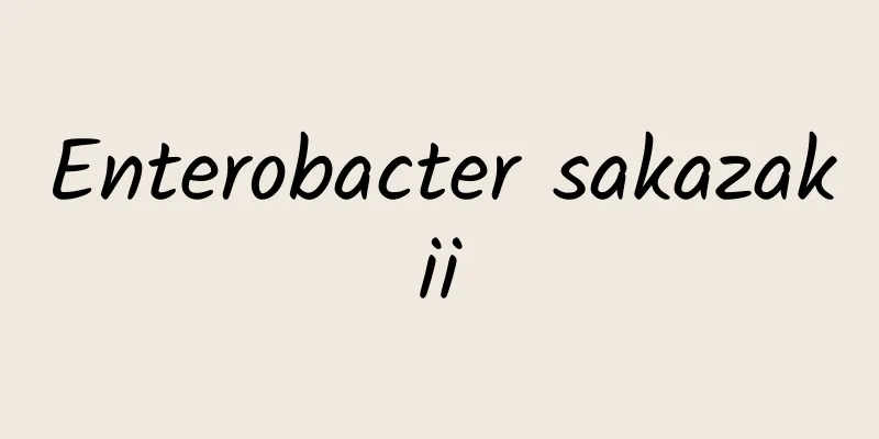 Enterobacter sakazakii
