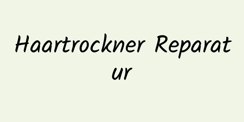 Haartrockner Reparatur
