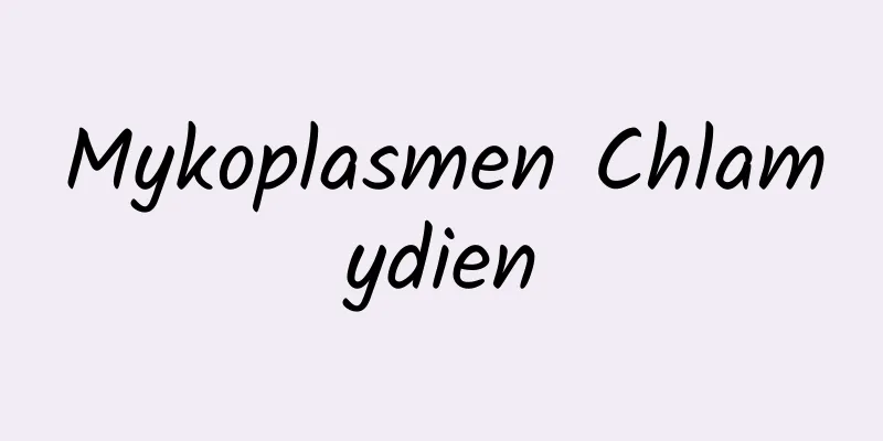 Mykoplasmen Chlamydien