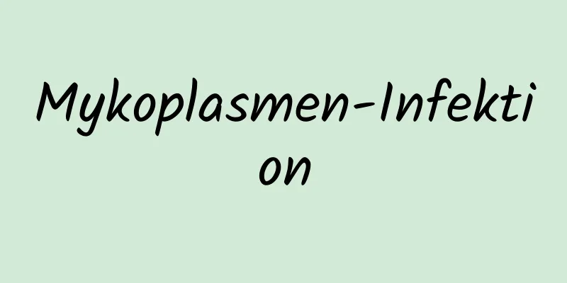 Mykoplasmen-Infektion