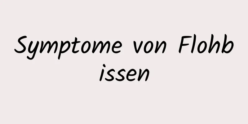 Symptome von Flohbissen
