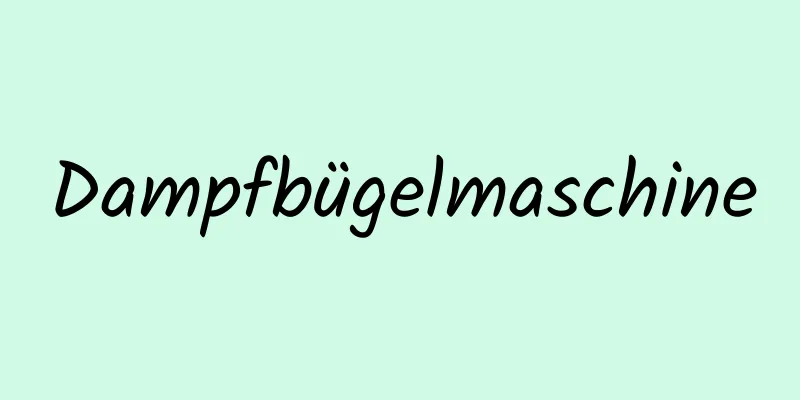 Dampfbügelmaschine