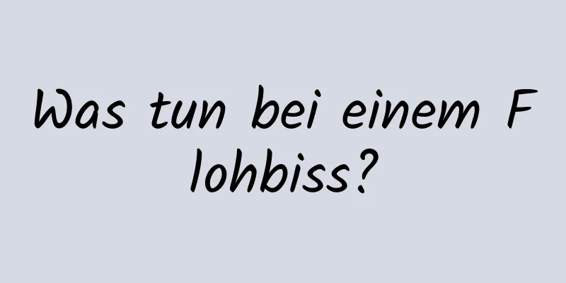 Was tun bei einem Flohbiss?