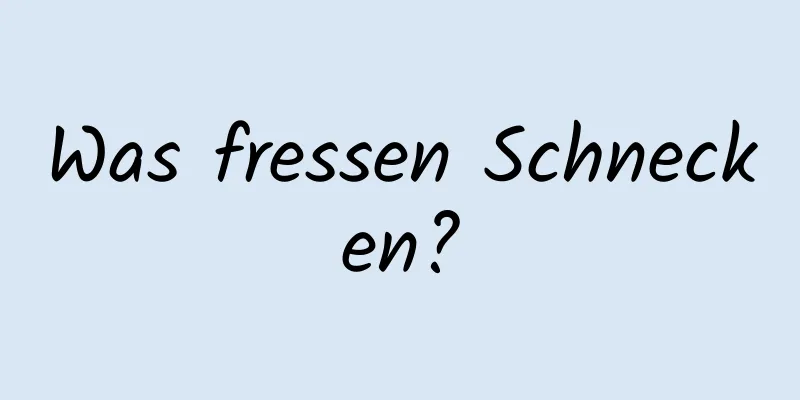 Was fressen Schnecken?