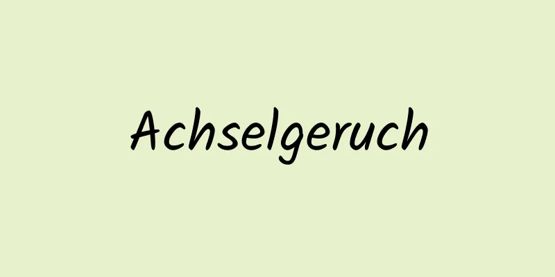 Achselgeruch