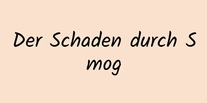 Der Schaden durch Smog