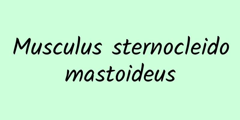Musculus sternocleidomastoideus