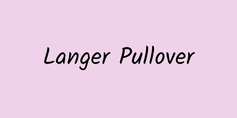 Langer Pullover