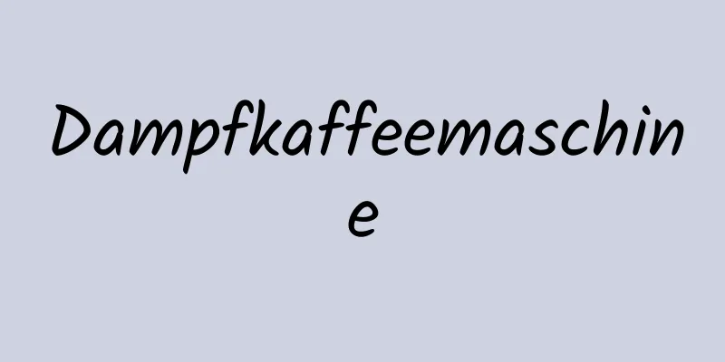 Dampfkaffeemaschine