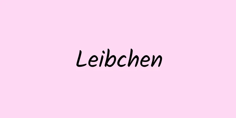 Leibchen