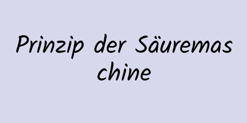 Prinzip der Säuremaschine