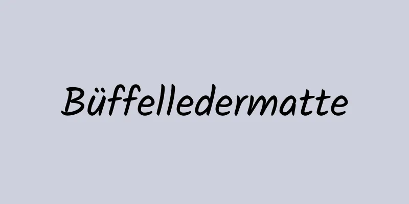Büffelledermatte