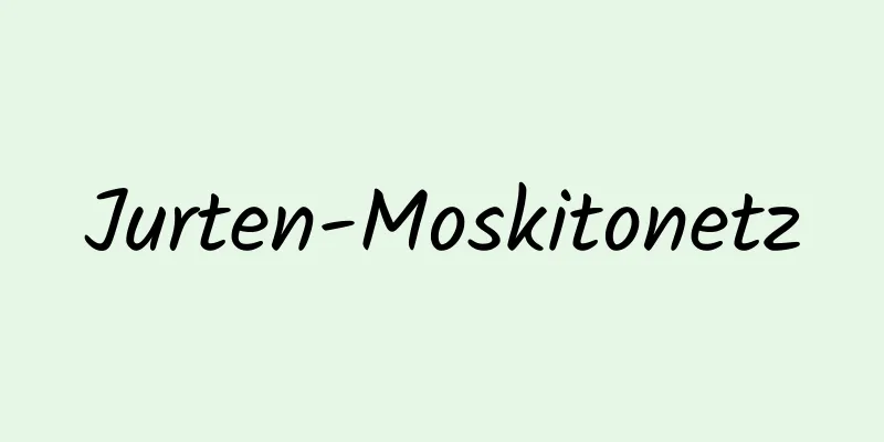 Jurten-Moskitonetz
