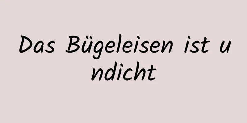 Das Bügeleisen ist undicht