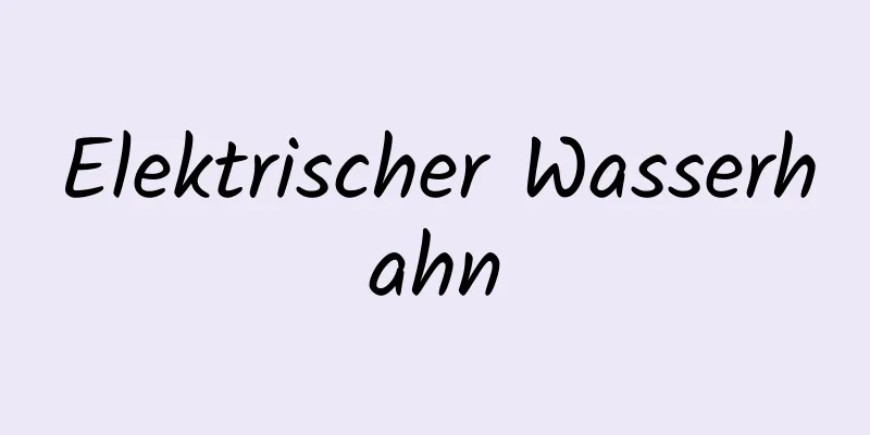 Elektrischer Wasserhahn